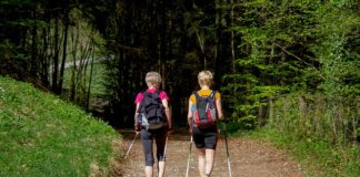 Po jakim czasie widać efekty Nordic Walking?